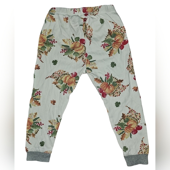 Burt's Bees Kids Boy Girl Thanksgiving Celebration Organic 2pc PJ Set Sz 3T - Picture 15 of 16